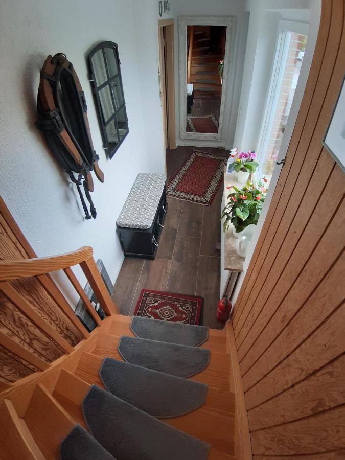 Ferienwohnung Schwalbennest Hanerau-Hademarschen 外观 照片