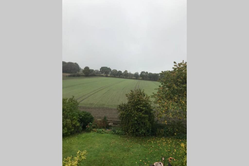 Ferienwohnung Schwalbennest Hanerau-Hademarschen 外观 照片